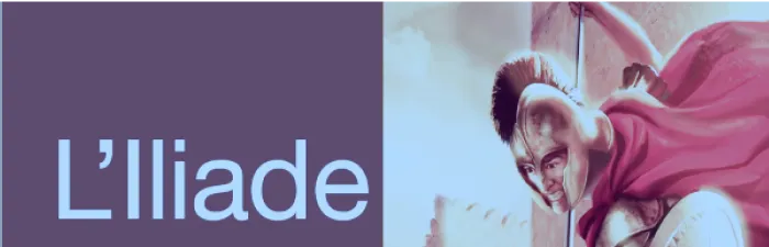 Livre L'Iliade